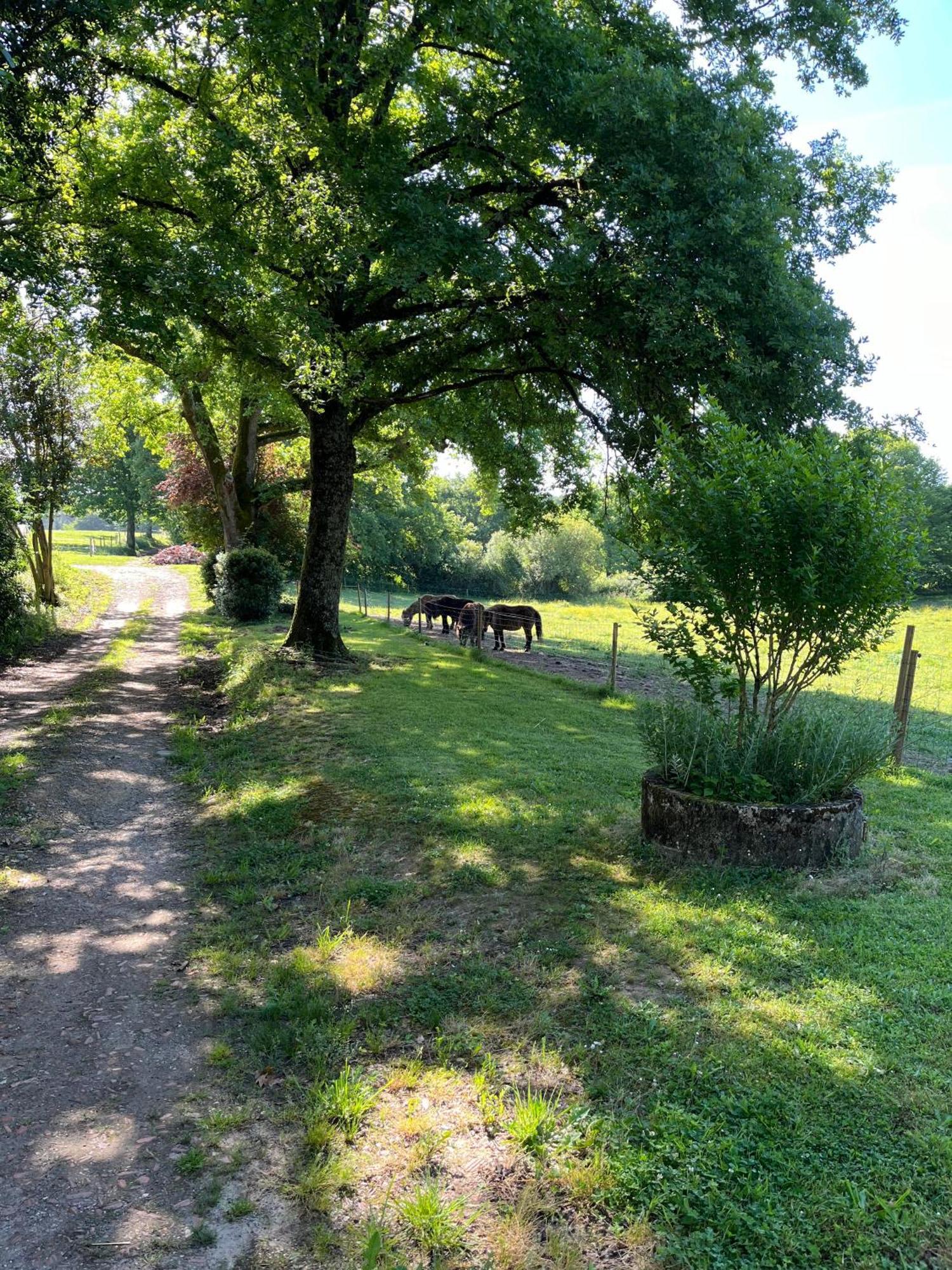 Le Gite Gabriel Eauze Exterior photo